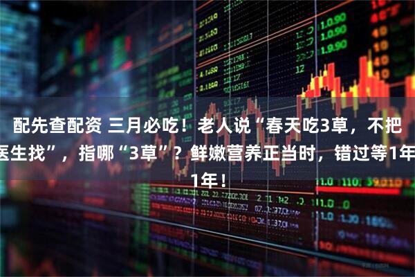 配先查配资 三月必吃！老人说“春天吃3草，不把医生找”，指哪“3草”？鲜嫩营养正当时，错过等1年！